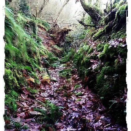 Lar De Sanxes A Pontenova